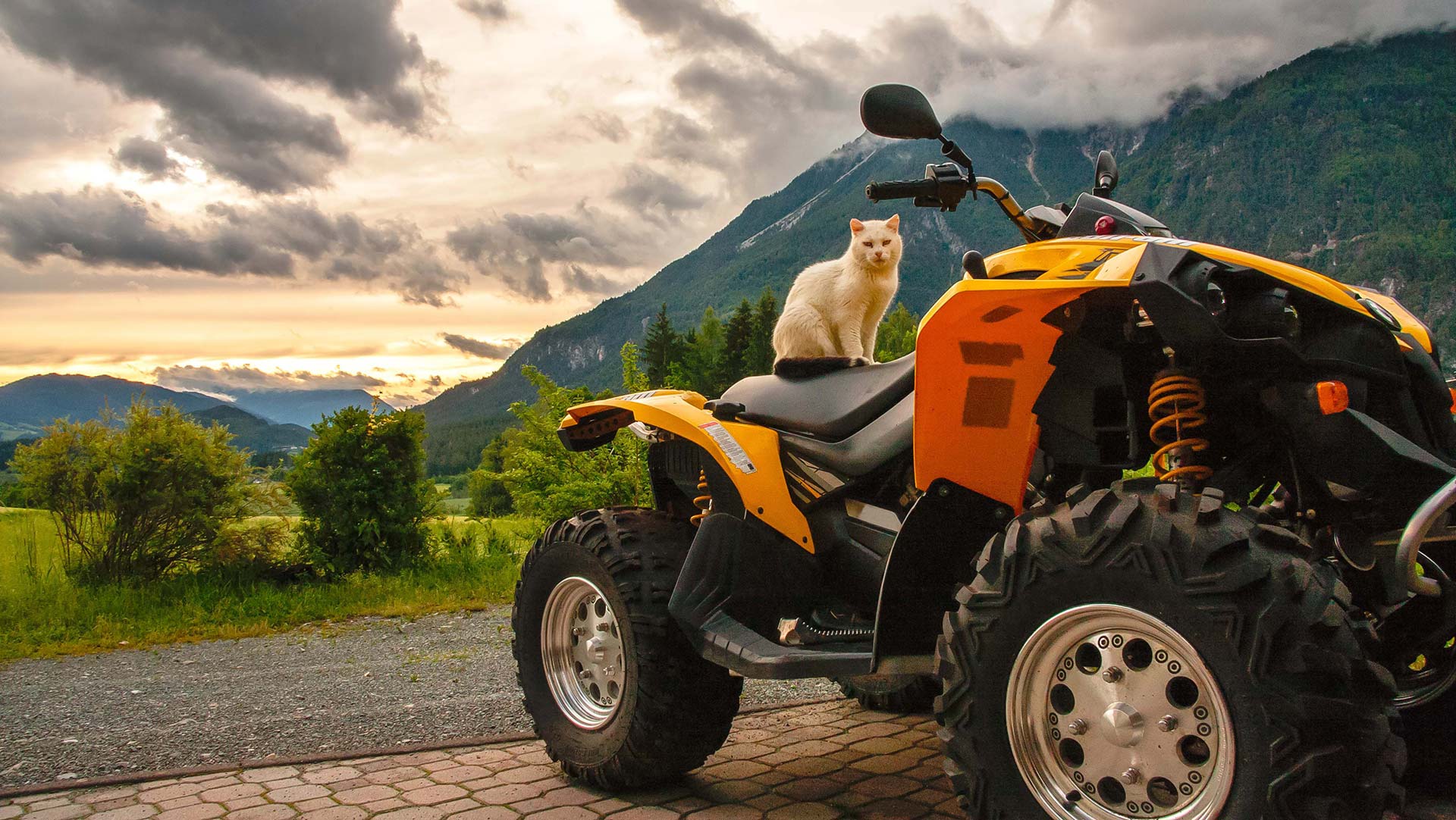 Прогулка по лесу на квадроциклах